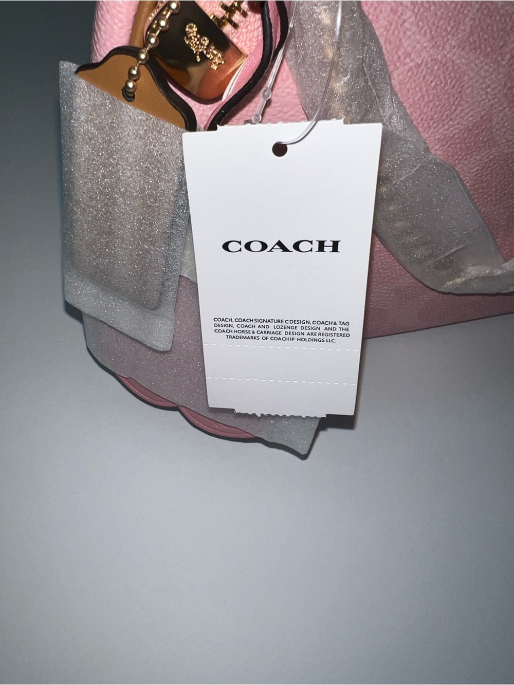 NWT Coach Teri Shoulder Bag Signature Canvas With Charms Gold/Powder Pink CEA20 - Picture 12 of 12
